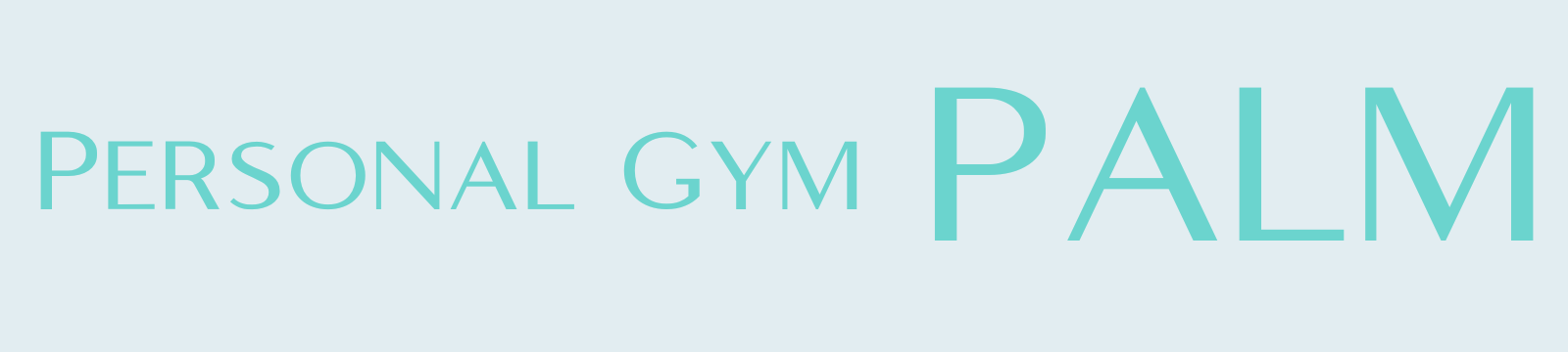 PersonalGym PALM